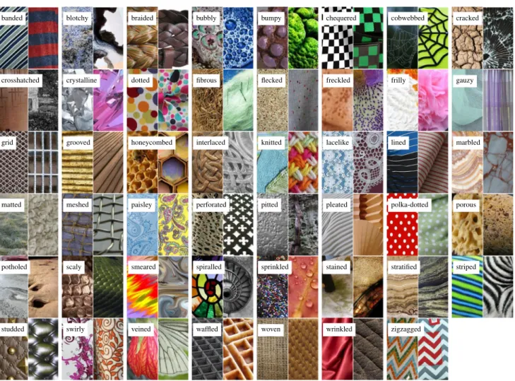 Fig. 2 The 47 texture words in the describable texture dataset introduced in this paper