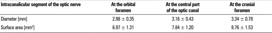 Figure 3. A schematic representation of the optic chiasm with the measurements taken; 1 — the length of the intracranial segment of the optic nerve; 2 — the angle of decussation of the two optic nerves; 3 — the distance between the medial edges of the optic nerves.