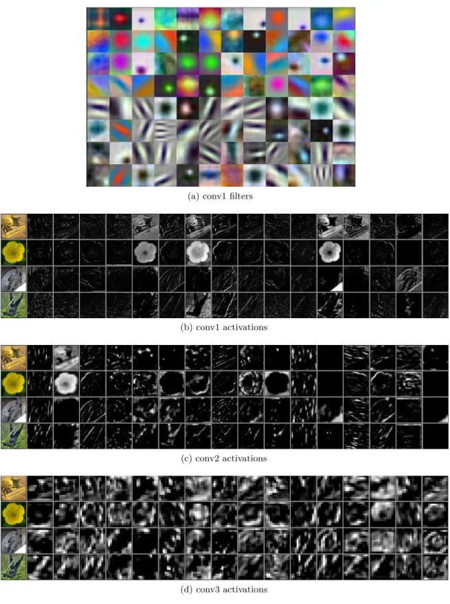 Figure 1.2: Example first layer filters and the first three layer’s outputs. (a) The 11×11 filters for the first stage of AlexNet