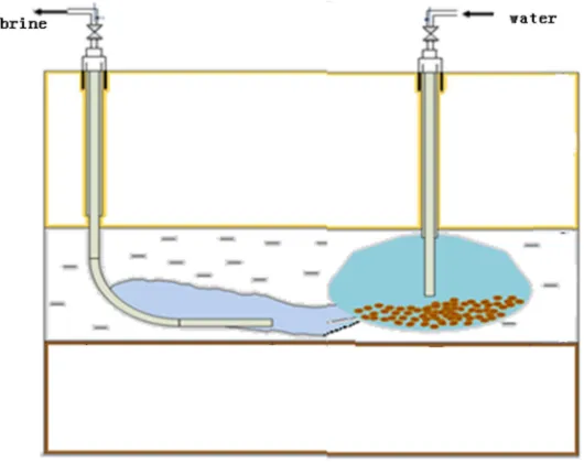 Figure 2. Horizontal and vertical well solution mining schematic diagram. 