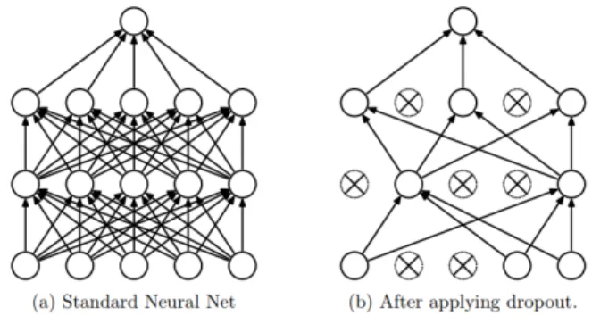 Figure 2.2: Dropout conceptually reduces the full network to a subset of its neurons [39].