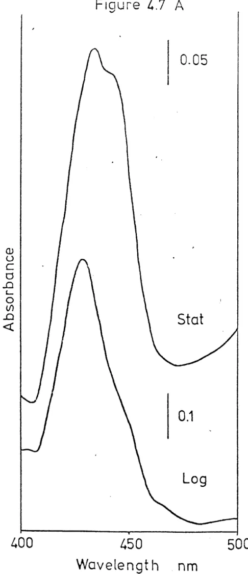 Figure 4.7 A Cl&gt; u c a ..0  L-a (/) ..0 &lt;{ 0.05Stat 0.1 Log 400 450 Wavelengt h nm 500