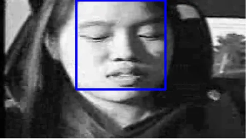 Figure 3.2: Detected face.