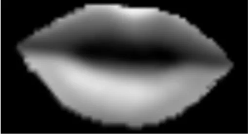 Figure 2.2: Example of an active appearance model. Source: [2]