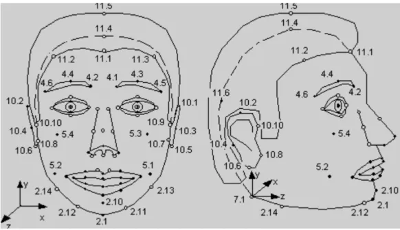 Figure 2.3: Facial definition parameters. Source: [3]