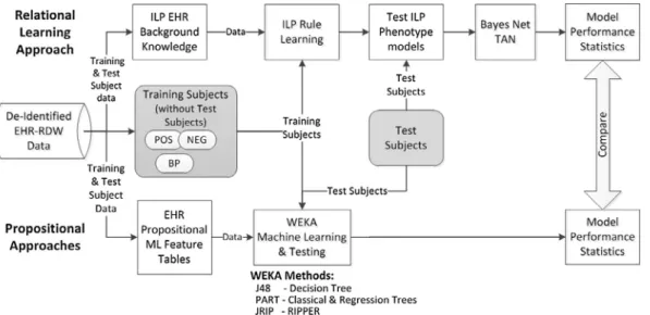 Fig. 1. Overview of data preparation and analysis processes. Positive (POS), negative (NEG) and borderline positive (BP) training examples are selected using the electronic health record (EHR) data