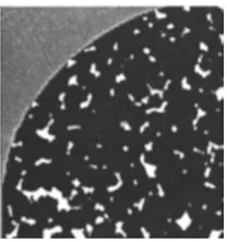 Figure 1. A slice taken from the core plug [5]. 