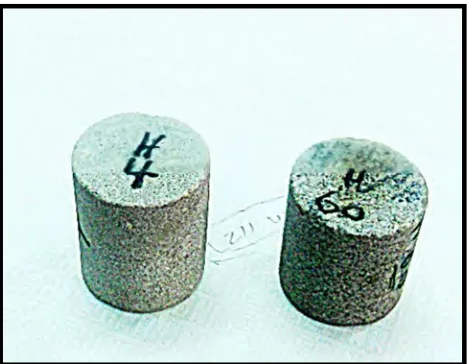 Figure 2. Conventional sandstone core plugs used for the experiments. 