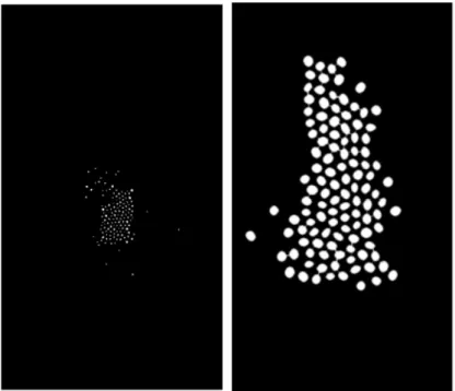 Figure 7: Two different distance transform outputs on canola and soybean.