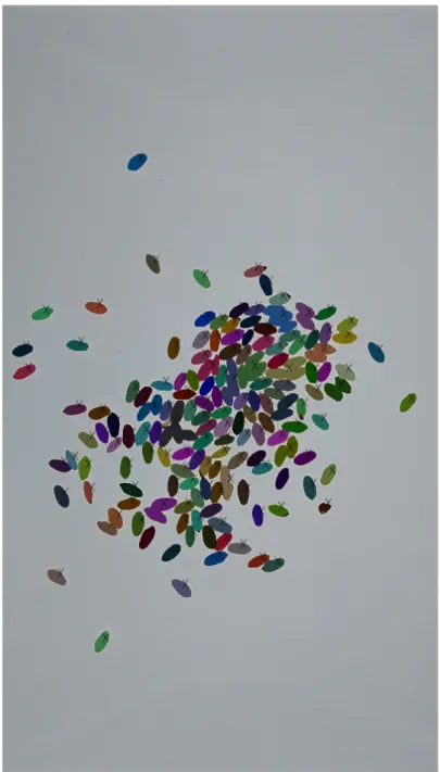 Figure 10 shows the OneKK output on wheat kernels. The convexity-based counting  range is 150-170 while the area-based counting range is 150-169