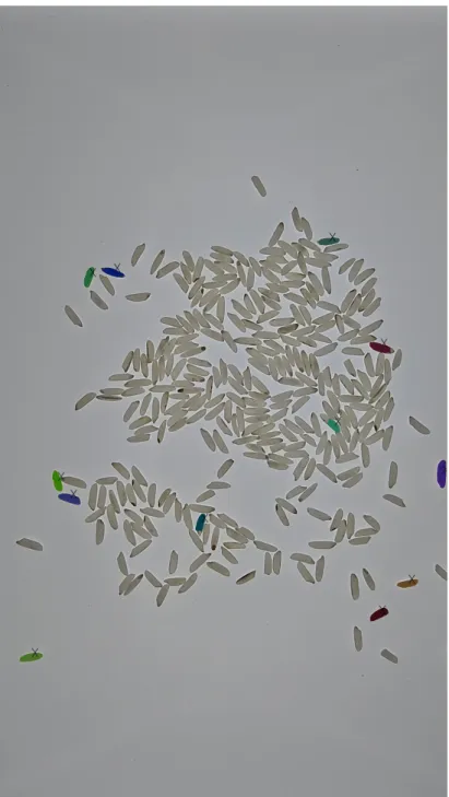 Figure 13: Counting 317 white rice in OneKK.