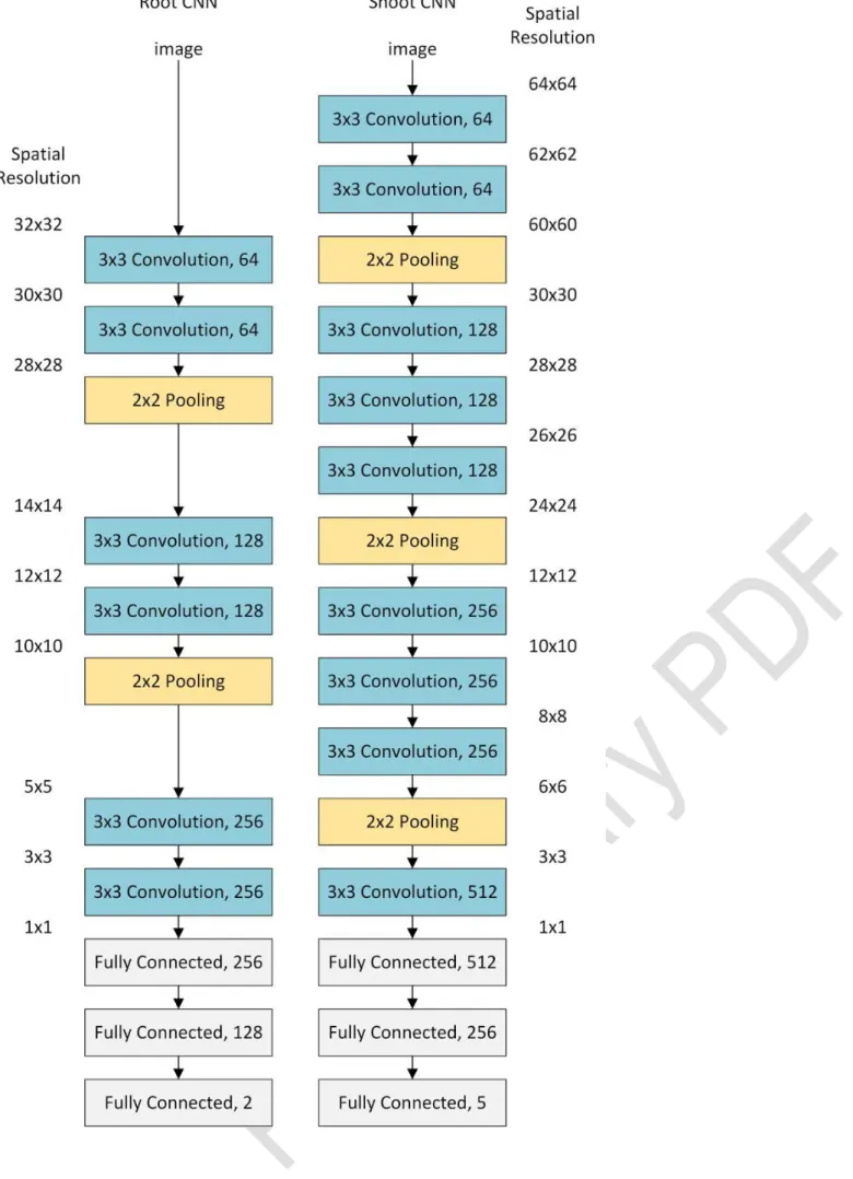 Figure 4: The architecture of both convolutional neural networks (left: root, right : shoot)