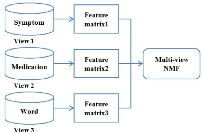 Figure 3.3 The Framework of Applying Multi-view NMF.