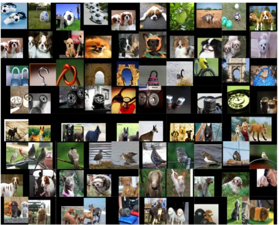 Figure 3.7: Top activations for 8 example conservative filters. Each row shows top 10 activations of one conservative filter in the last convolutional layer (conv5-3) of the VGG16 model that is fine-tuned using only video frames of the training videos in U