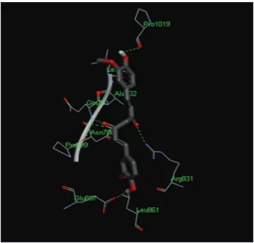 Fig. 5: Docked complex of curcumin (969516) with epidermal 