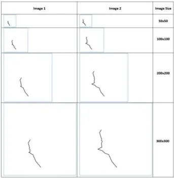Table 1 contains the results of experiments conducted to  test the impact of the line thickness on the classification  accuracy using a CNN