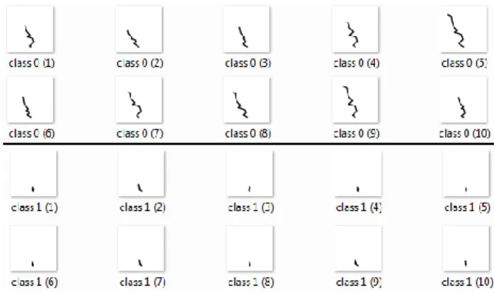 Figure 5: Random samples of WBC data visualized in GLC-L  for the CNN model with the best accuracy 