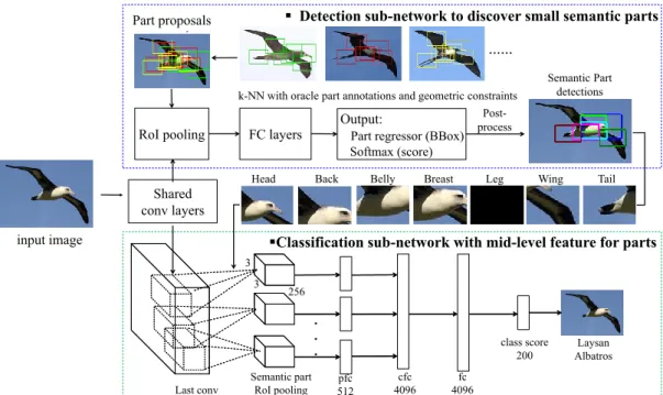 Figure 2.1: SPDA-CNN: Semantic Part Detection and Abstraction CNN architecture for fine-grained classification