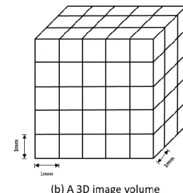 Figure 2.1: Pixels, voxels and spatial resolutions of medical images: (a) illustrate a 2D  image with pixel resolution of 8 × 8 and a spatial resolution of 1mm × 1mm
