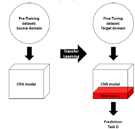Figure 2.11: Overview of shallow tuning-based transfer  learning approach. 