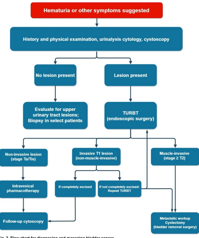 Fig. 2. Flow chart for diagnosing and managing bladder cancer. 