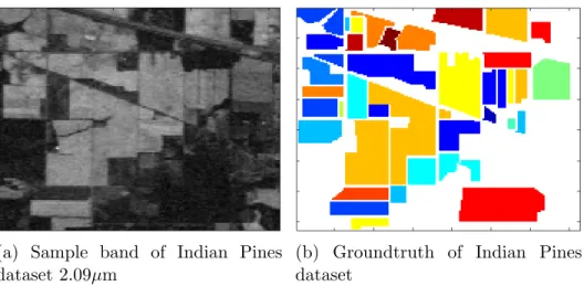 Figure 6.1: A sample spectral band from the Indian pins hyperspectral data and its ground truth image