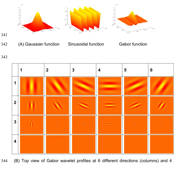 Figure 1. Gabor wavelet profiles with at different directions and scales.   