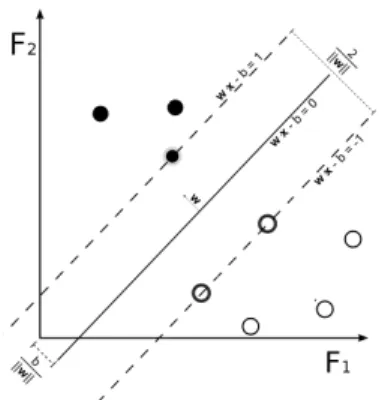 Figure 3.6: A Support Vector Machine.