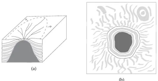 Figure 2.1: Schematics of seismic textures for a) inline and b) timeslice sections (Berthelot et al., 2013, [2])