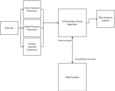 Figure 1: Overall Framework of Piper Nigrum Classification  In  image  processing  phase,  data  sets  given  is  utilized  in  order  to  escalate  the  right  information  to  the  classification  phase