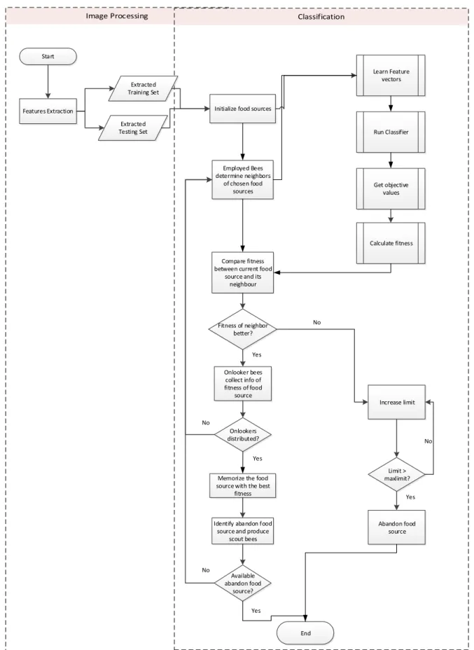 Figure 2: Piper Nigrum Classification Flowchart 