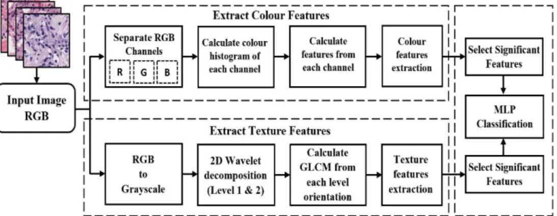 Figure 2. Proposed method for PCa grading in histological sections based on wavelet texture and  colour features