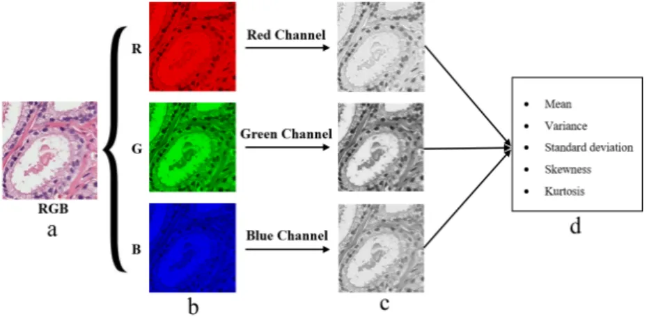 Figure 8. Level-1 and level-2 Haar wavelet texture images. (a–d) First-level orientation sub-images,  each 128 × 128 pixels in size