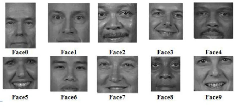 Table 1: GLCM values for Face1  0 o 45 o 90 o 135 o 4035  198  5  0  302  977  317  11  1  291  1861  409  0  5  351  1307  0  0  5  311  0  0  0  1  0  0  0  0  0  0  0  0 