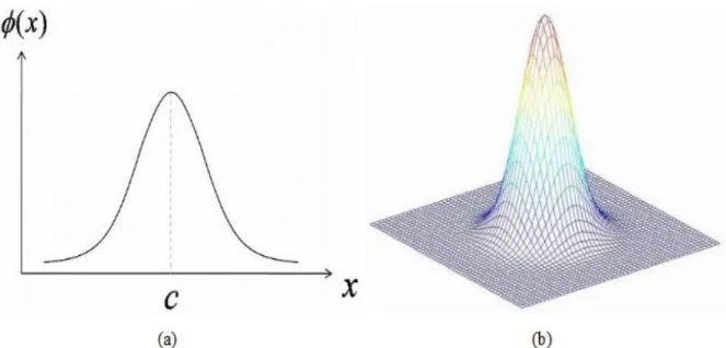 Figure 1 Gaussian basis function. (a) Shape of Gaussian basis function in 1D. c is the center