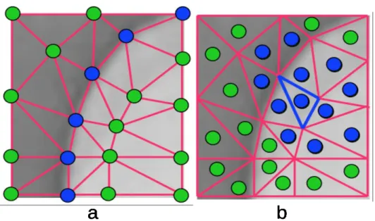 Figure 10 Example of interpolation. (a) Interpolation by vertices. Green dots are vertices defined on  feature