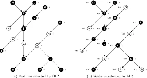 Fig. 3: Example of hierarchical feature selection by HIP and MR