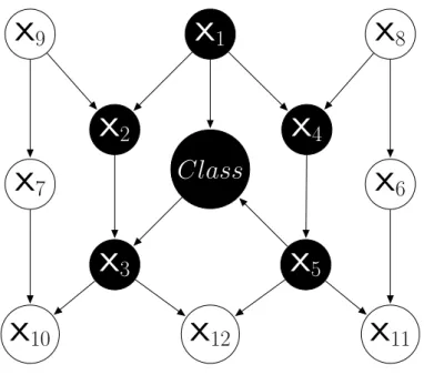 Figure 2.11 Example of the Markov Blanket for the Class Attribute