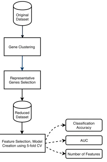 Figure 2.1: Removing redundant features using clustering and performing 5-fold CV for feature selection and model creation on the reduced dataset