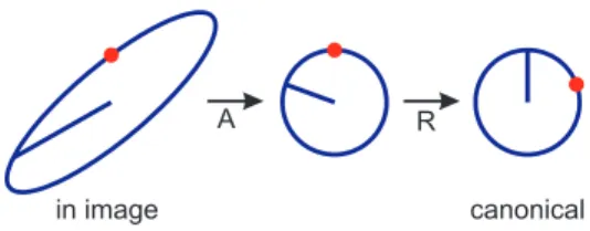 Figure 1. The ellipse normalization transformation (A) pre- pre-serves the gravity vector direction (red dot), R rotation to canonical position.