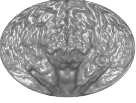 Fig. 4.10. A brain map.