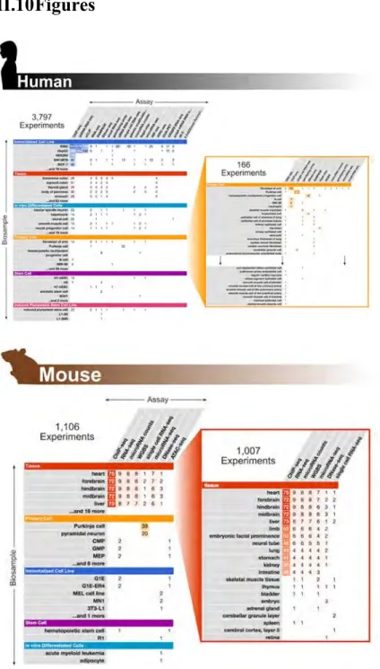 Figure II-1 | ENCODE Phase III data production as of February 1, 2017 