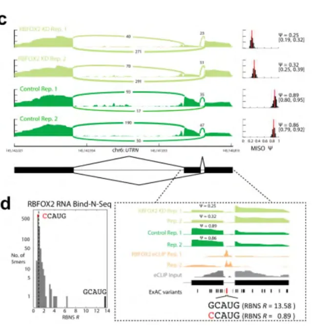 Figure II-6 | New assays used in ENCODE Phase III 