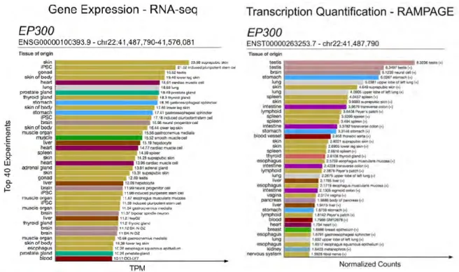 Figure II-8 | SCREEN display of gene and TSS expression levels. 
