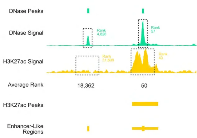 Figure II-9 | | Enhancer prediction using the average ranks 