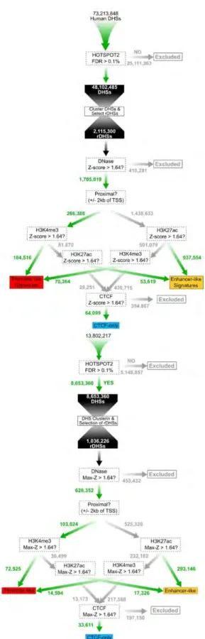 Figure II-13 | Selection of cREs   We begin by clustering high quality  DHSs (FDR > 0.1%) to create 