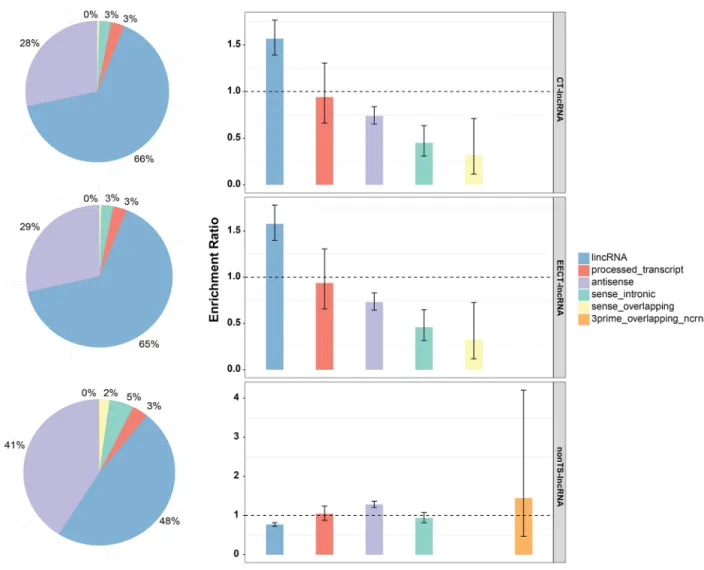 Figure 1: Classification of CT-lncRNAs, EECT-lncRNAs and TS-lncRNAs.  The bar plot represents the proportion of lncRNAs  per sub-category