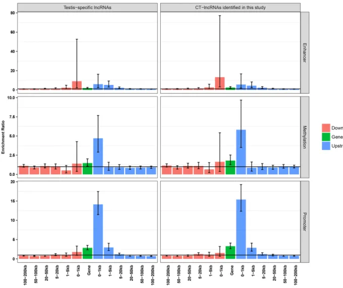 Figure 4: Enrichment analysis of testis-specific regulatory elements.