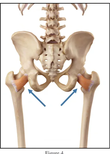 Figure 4. Figure 5. 
