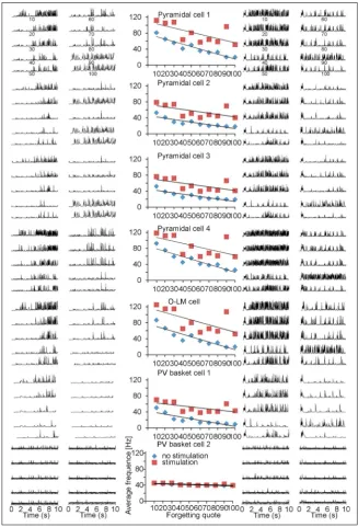 Figure 2. Basic 10 s real time simulation of pyramidal cells, basket cells and OL-M cell without and with long-term synaptic potentiation (LTP) inducing protocol